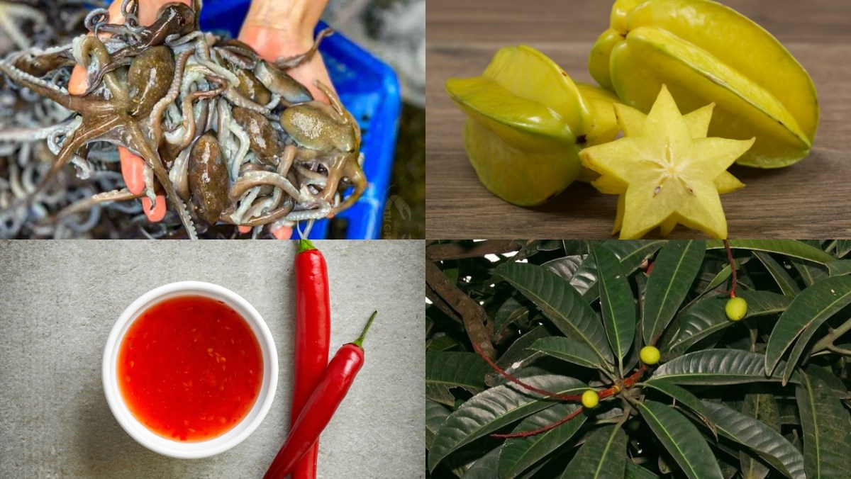 Nguyên liệu món ăn cách làm món ruốc chân dài nấu chua