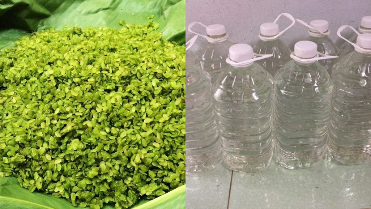 Nguyên liệu món ăn rượu cốm