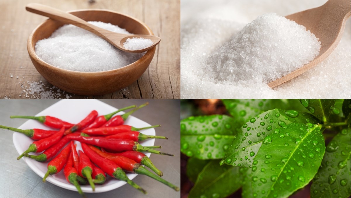 Nguyên liệu món ăn sốt chấm gà luộc