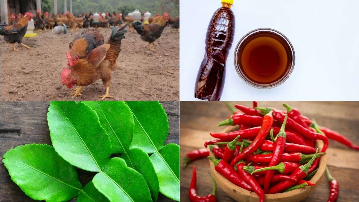 Nguyên liệu món ăn tiết canh gà