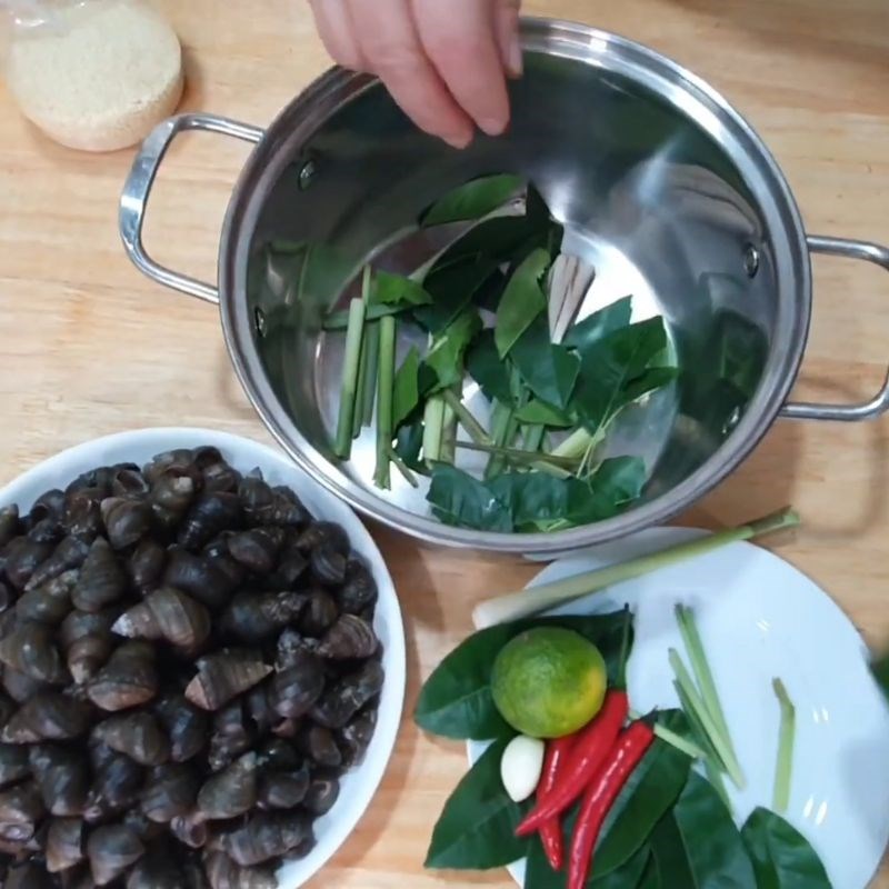 Bước 3 Cách luộc ốc vặn ngon thơm lừng Ốc vặn luộc