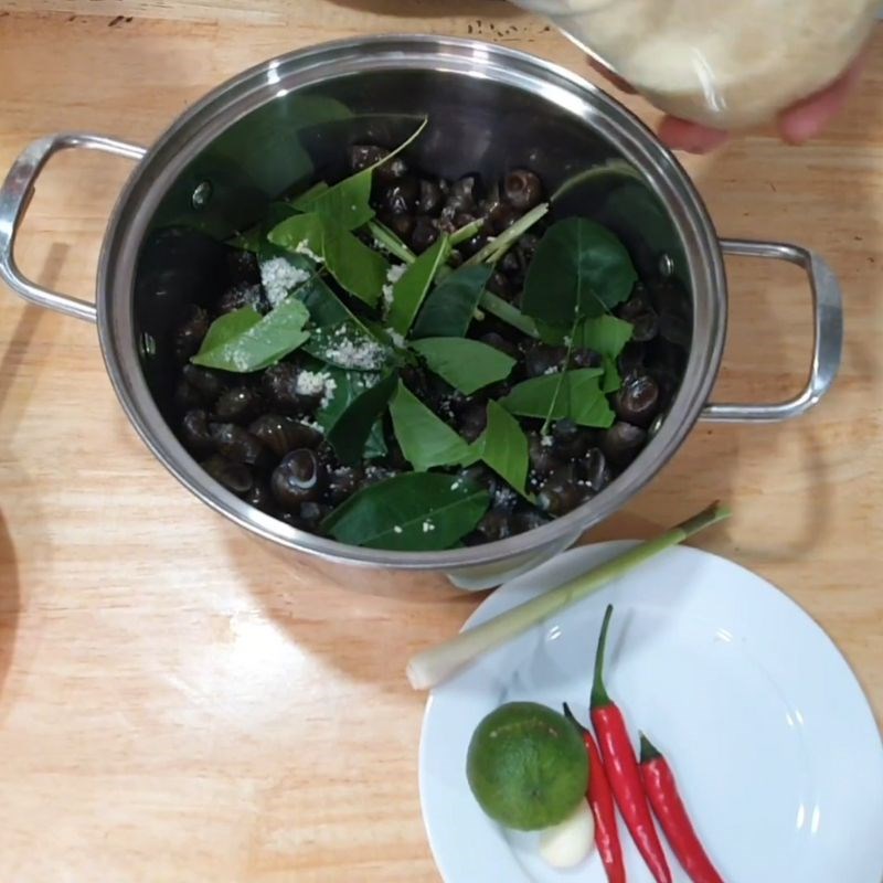 Bước 3 Cách luộc ốc vặn ngon thơm lừng Ốc vặn luộc