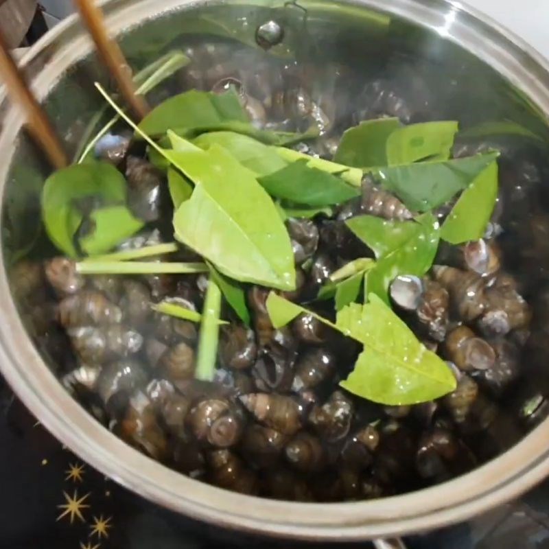 Bước 3 Cách luộc ốc vặn ngon thơm lừng Ốc vặn luộc