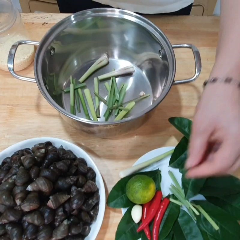 Bước 3 Cách luộc ốc vặn ngon thơm lừng Ốc vặn luộc