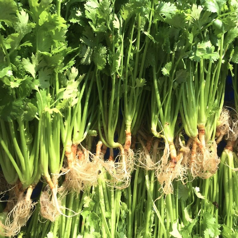 Bước 2 Chuẩn bị các nguyên liệu khác Cật heo hấp cách thủy