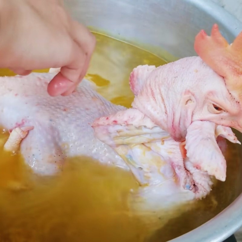 Bước 3 Luộc và ủ gà cúng chín đều Chéo cánh gà cúng