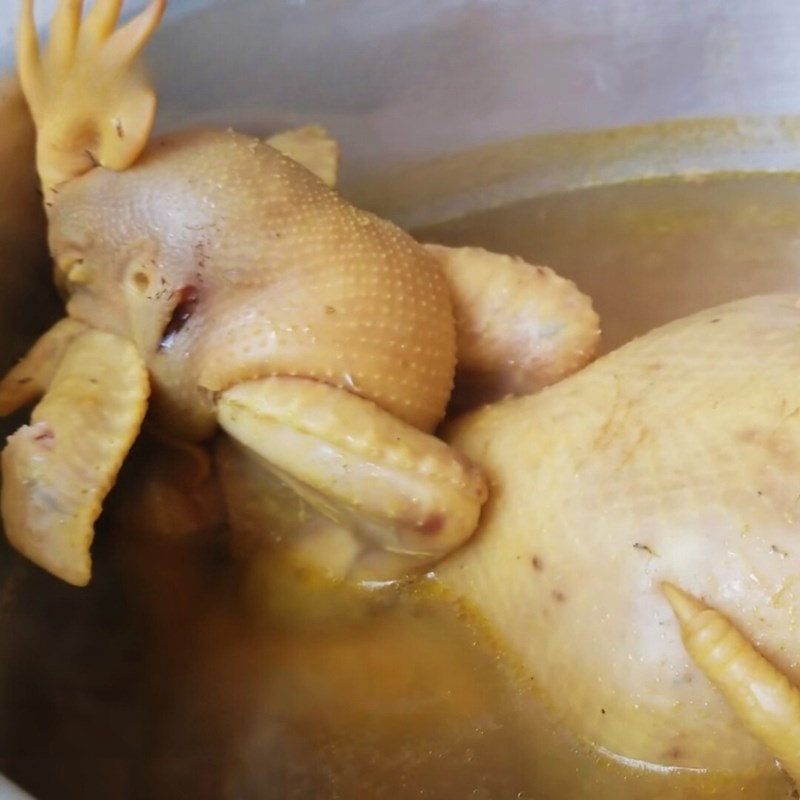 Bước 3 Luộc và ủ gà cúng chín đều Chéo cánh gà cúng