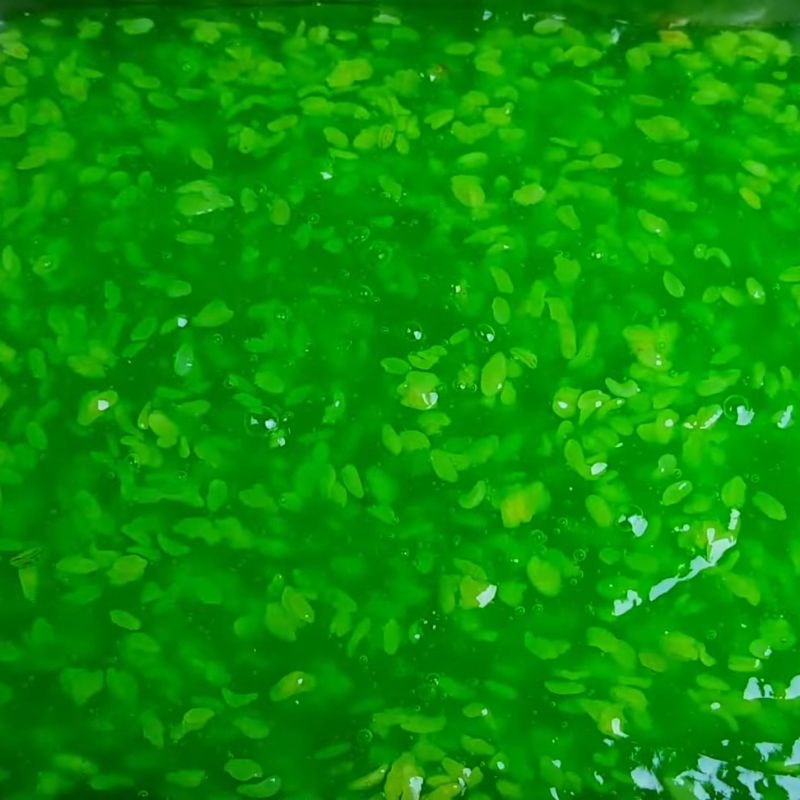 Bước 5 Nấu chè cốm Chè thập cẩm miền Bắc