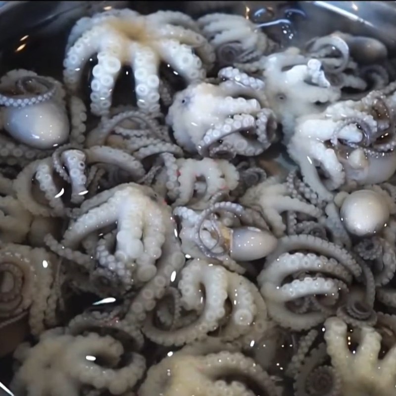 Bước 1 Sơ chế ruốc chân dài đúng cách Ruốc nấu chua