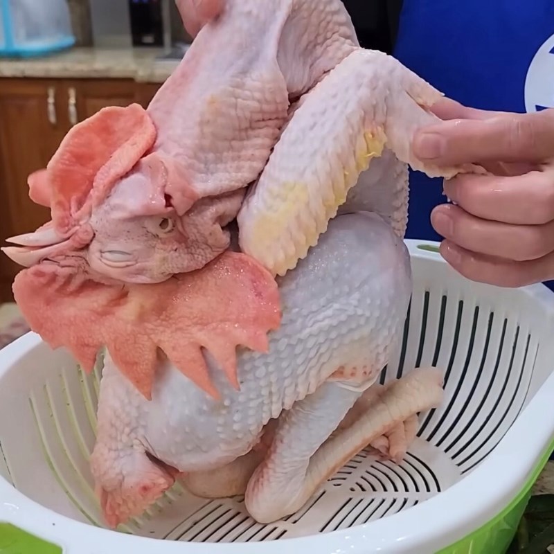 Bước 1 Sơ chế và làm sạch gà lễ Gà lễ