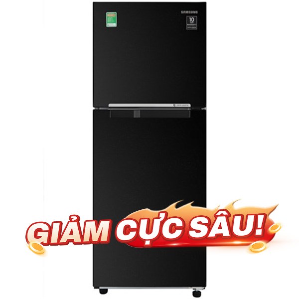 Samsung Inverter 208 lít RT20HAR8DBU/SV