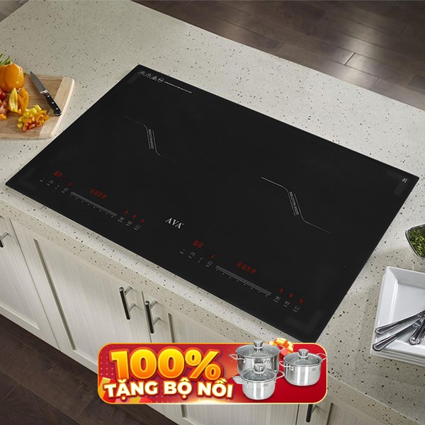 Bếp từ đôi lắp âm AVA LY-DS3S