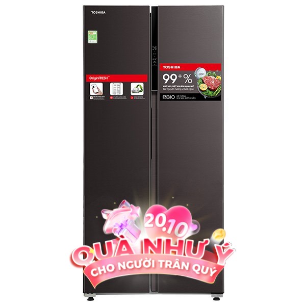 Toshiba Inverter 460 lít GR-RS600WI-PMV(37)-SG