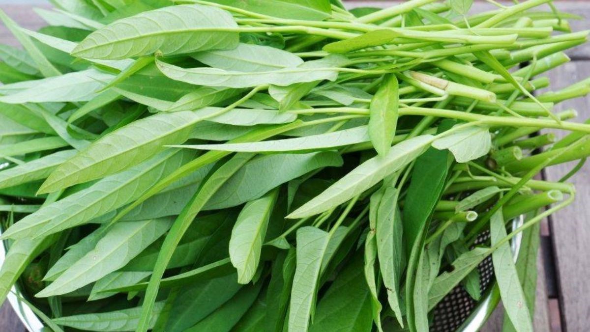 Nhặt rau muống cuốn bánh tráng