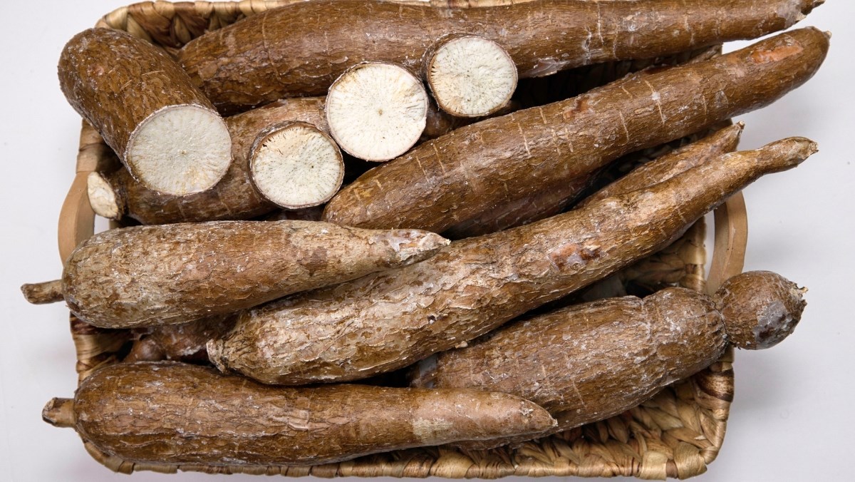 Nguyên liệu món ăn công thức làm bánh khoai mì chiên giòn để làm món ăn vặt ngon bất bại