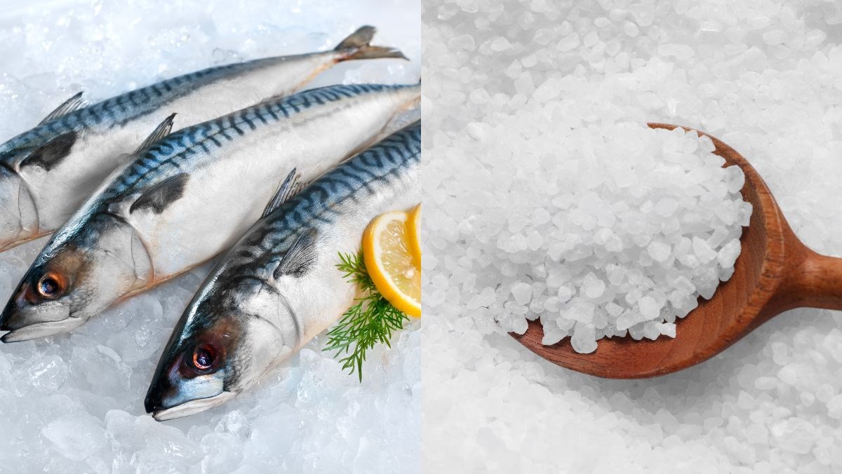 Nguyên liệu món ăn cá thu muối dùi