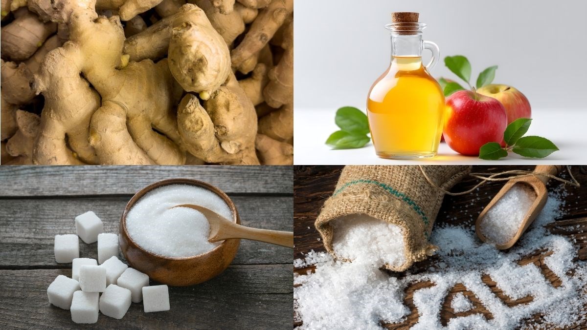 Nguyên liệu món ăn gừng ngâm giấm