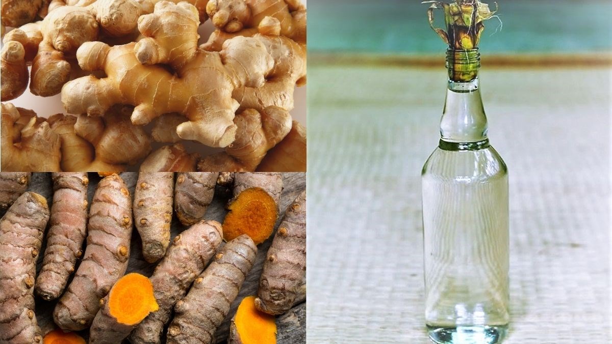 Nguyên liệu món ăn gừng ngâm rượu