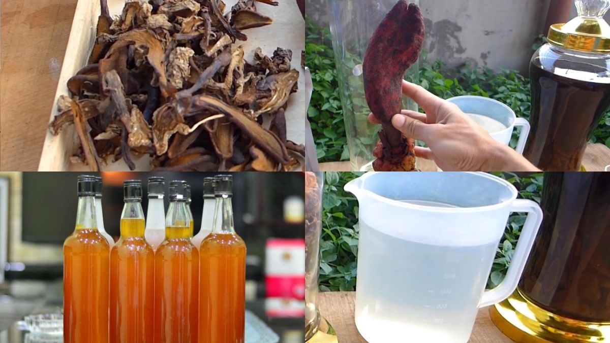 Nguyên liệu món ăn nấm ngọc cẩu ngâm rượu