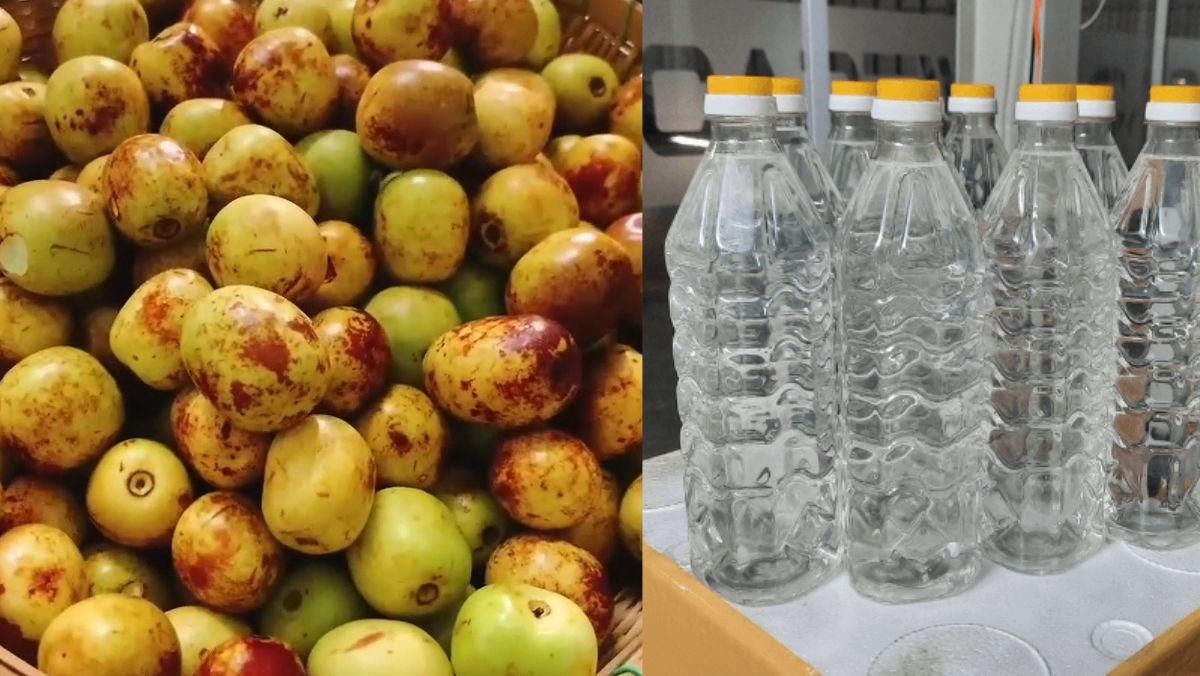 Nguyên liệu món ăn ngâm rượu táo tàu