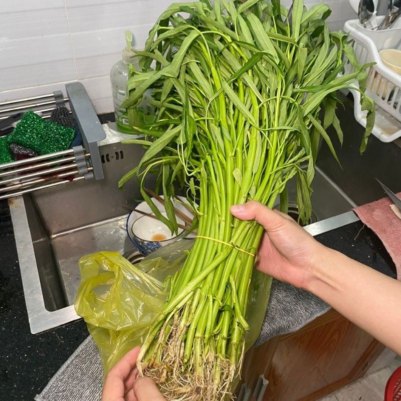 Bước 1 Chuẩn bị và kiểm tra rau muống Nhặt rau muống cuốn bánh tráng