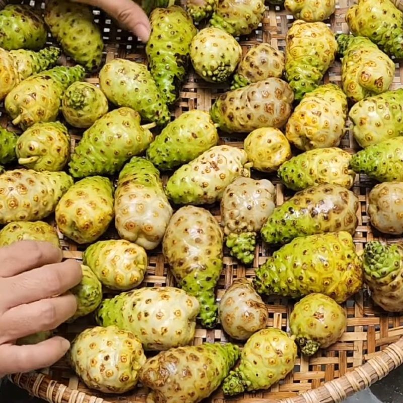 Bước 2 Để ráo và thái lát trái nhàu Trái nhàu ngâm đường phèn