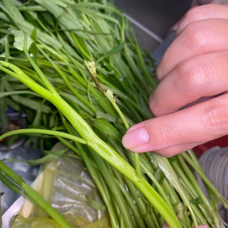 Bước 2 Hướng dẫn cách nhặt rau muống nhanh và đẹp Nhặt rau muống để xào