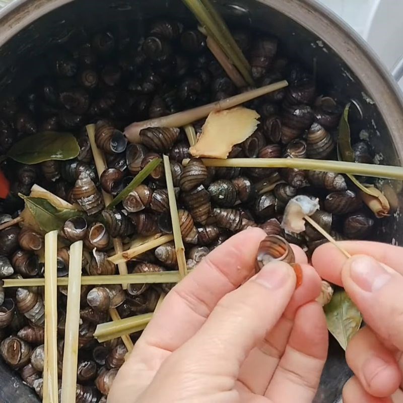 Bước 2 Khều ốc và làm sạch Ốc vặn xào sả ớt