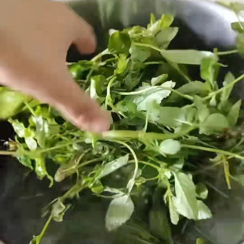 Bước 2 Nấu lá sương sáo tươi Sương sáo từ lá tươi