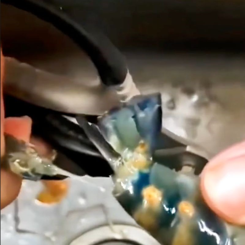 Bước 3 Rút chỉ lưng tôm Sơ chế tôm càng xanh