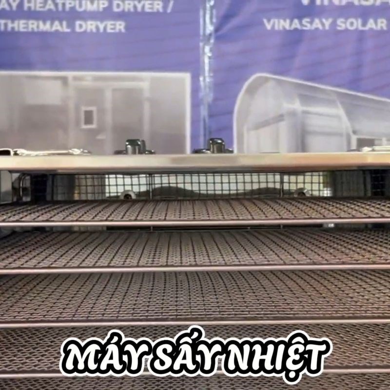 Bước 5 Sấy khô gừng thái lát Gừng sấy khô