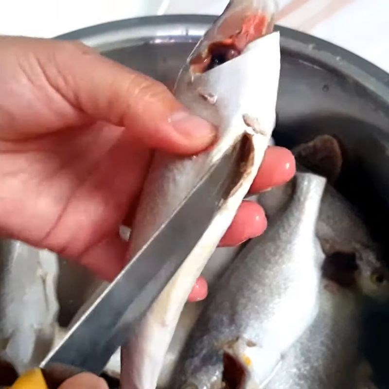 Bước 1 Sơ chế cá đù và khử tanh Khô cá đù một nắng