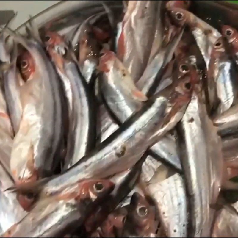 Bước 1 Sơ chế cá dứa tươi ngon Khô cá dứa một nắng