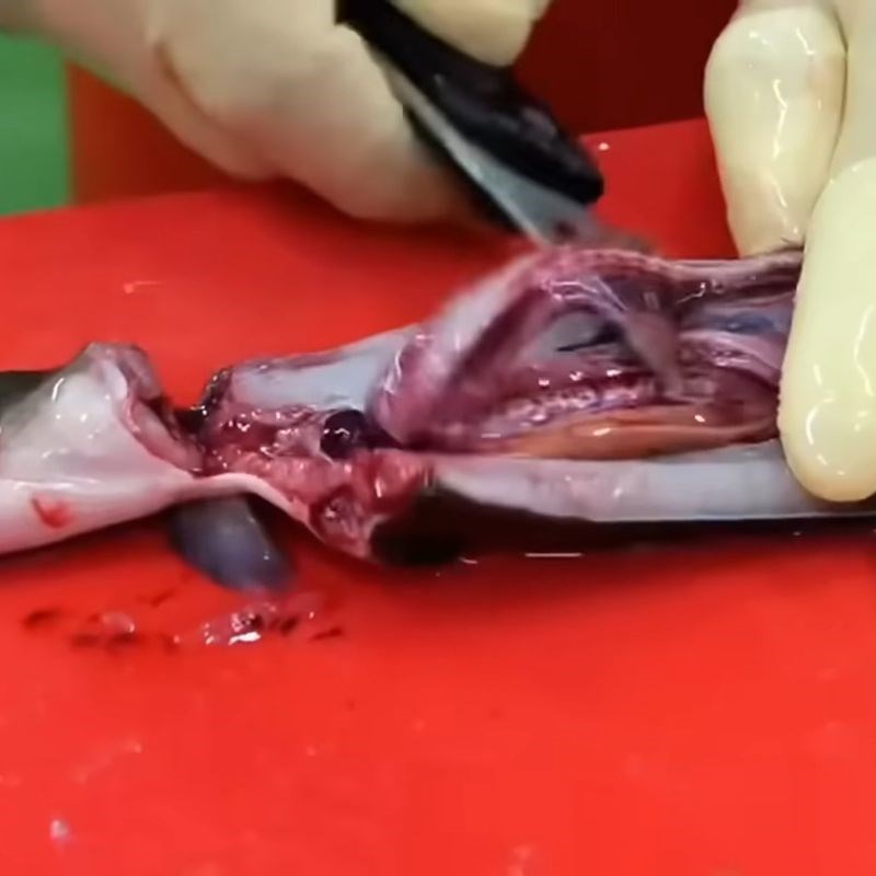 Bước 1 Sơ chế lươn tươi ngon Lươn nhật nướng