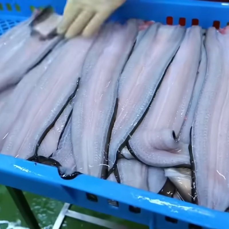 Bước 1 Sơ chế lươn tươi ngon Lươn nhật nướng