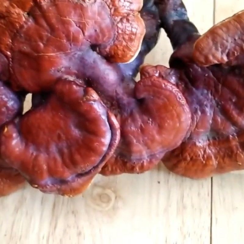 Bước 1 Sơ chế nấm Lim Xanh Rượu nấm lim xanh