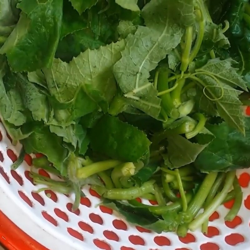 Bước 1 Sơ chế ngọn bí tươi ngon Rau bí luộc