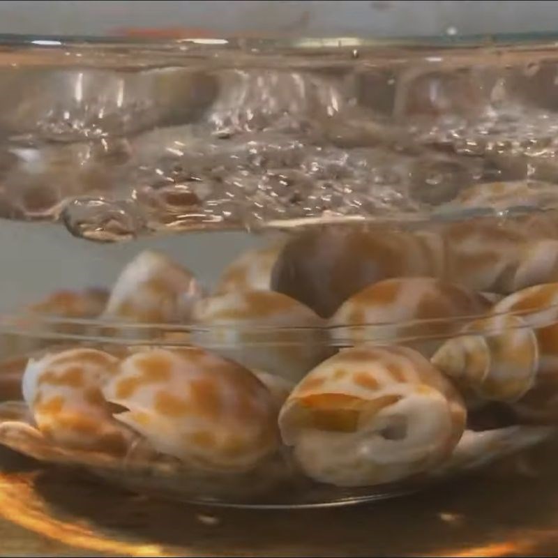 Bước 1 Sơ chế ốc hương sạch sẽ Ốc hương xào bơ tỏi chấm bánh mì