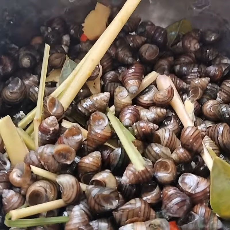 Bước 1 Sơ chế ốc vặn và luộc khử tanh Ốc vặn xào sả ớt