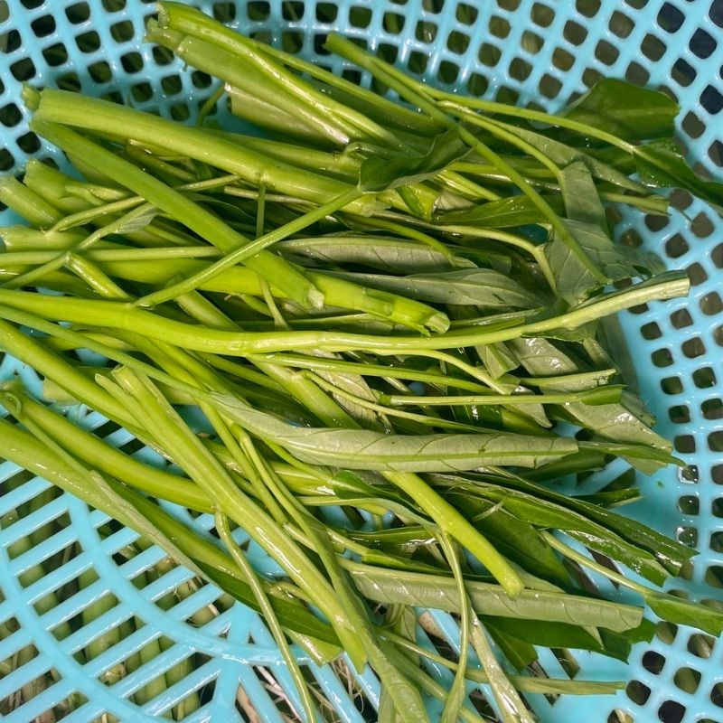 Bước 5 Thành phẩm Nhặt rau muống để xào