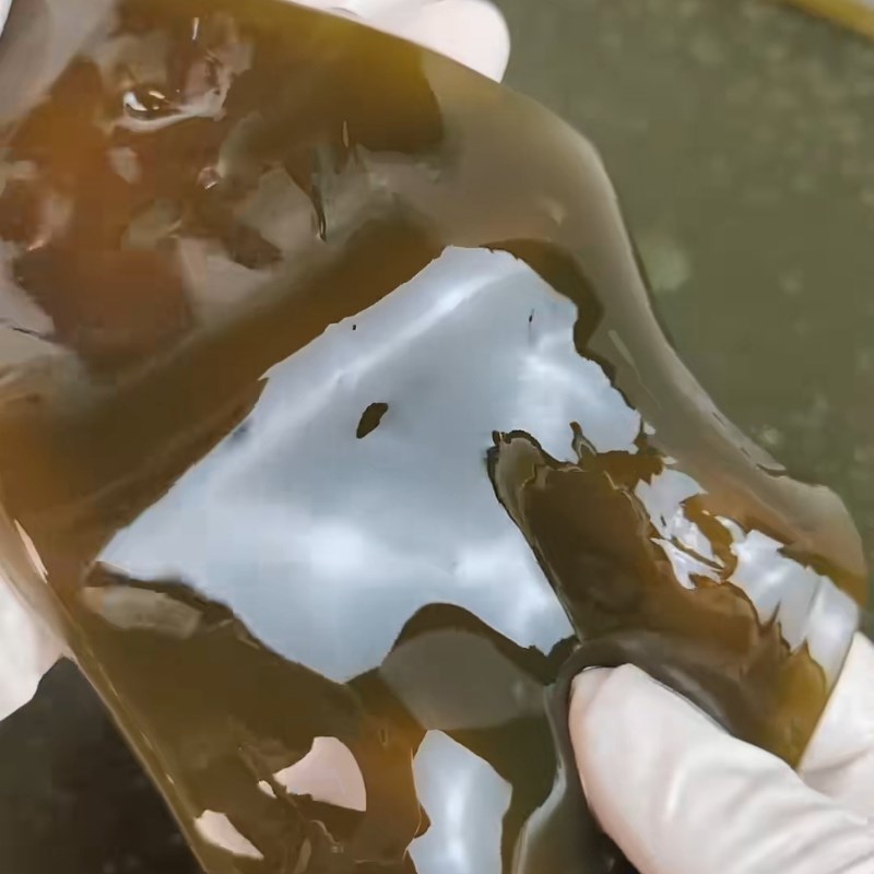 Bước 4 Thành phẩm Sương sáo từ lá tươi