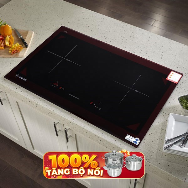 Bếp từ đôi lắp âm Malloca MI 732 SL