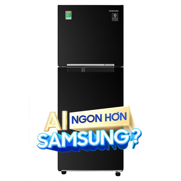 Samsung Inverter 208 lít RT20HAR8DBU/SV