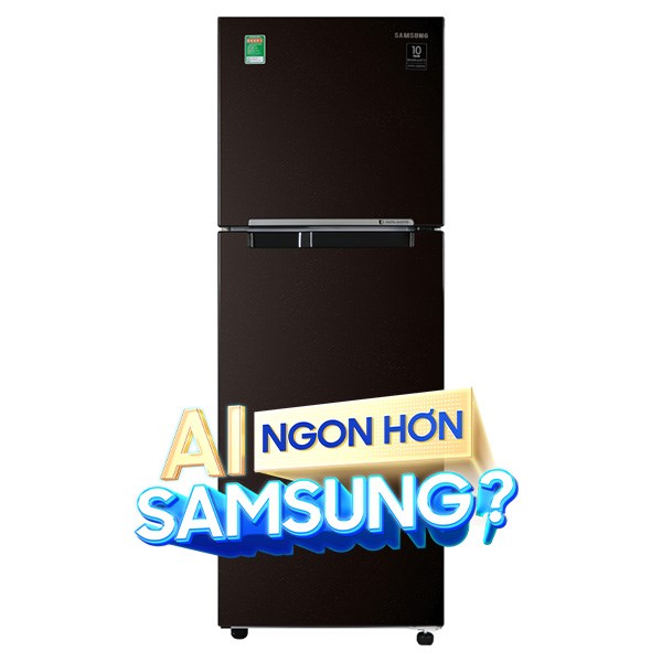 Samsung Inverter 236 lít RT22M4032BY/SV