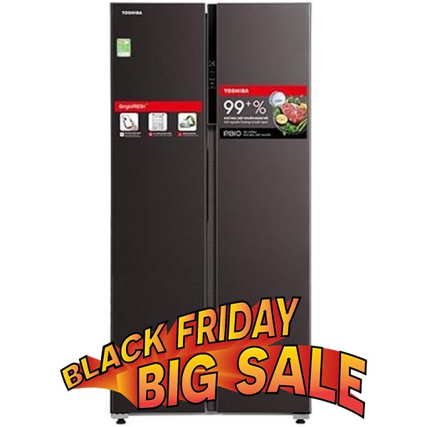 Toshiba Inverter 460 lít GR-RS600WI-PMV(37)-SG