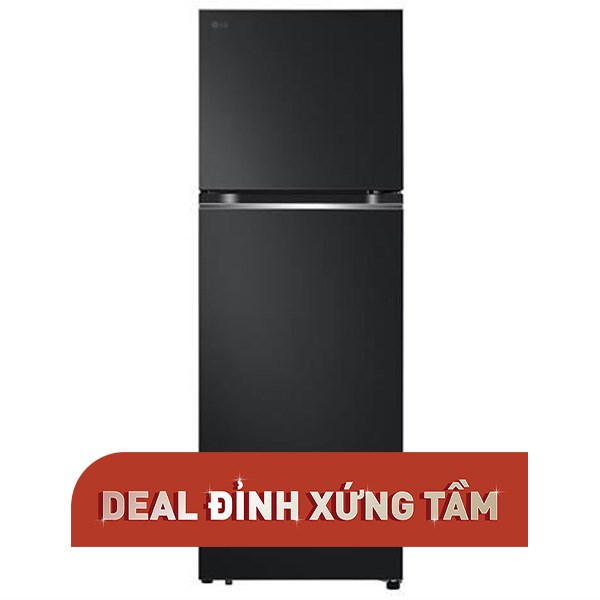 LG Inverter 335 lít LTB33BLMA