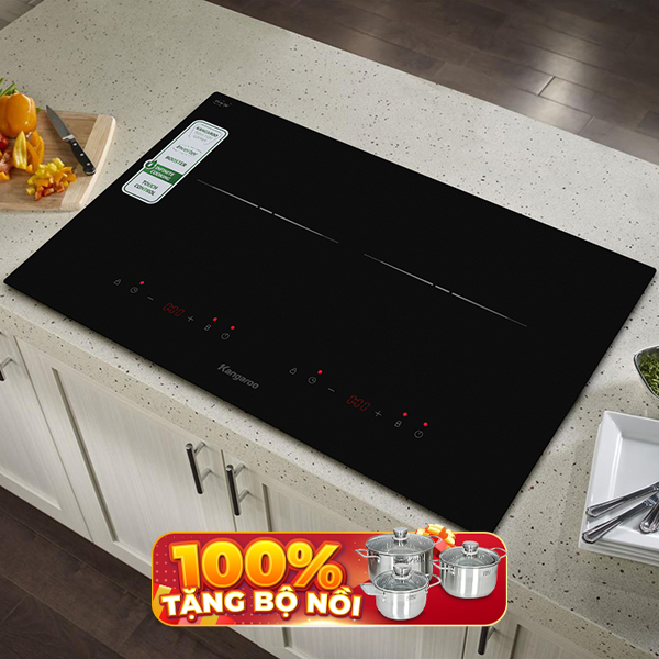 Bếp từ đôi âm Kangaroo KGIC50D1C 5000W
                Mẫu mới