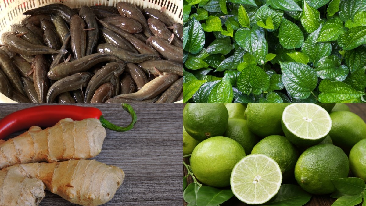 Nguyên liệu món ăn cá bớp nấu lá lốt