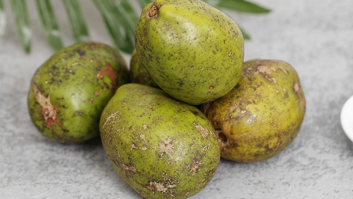 Nguyên liệu món ăn cóc dầm muối ớt