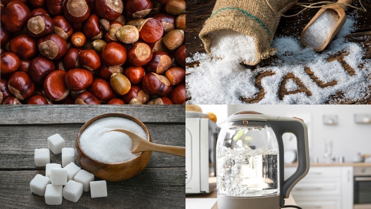 Nguyên liệu món ăn hạt dẻ luộc